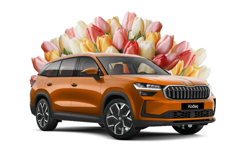 SUPREME slider car 8 march 27 02 2026 v4 2