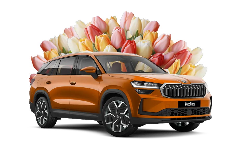 SUPREME slider car 8 march 27 02 2026 v4 2